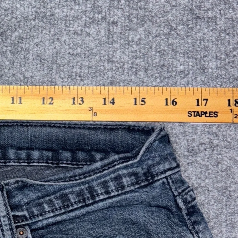 Levis levis 504